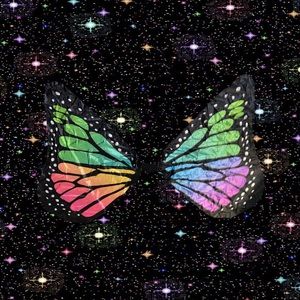 NWT rainbow butterfly wings